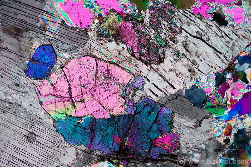 thin section of lepidolite mica and tourmalines