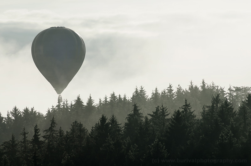 balloon-and-forest